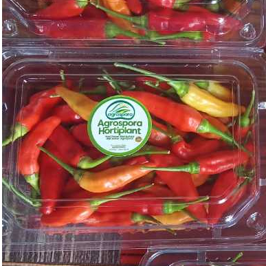 

Cabe Rawit Agrospora Hortiplant