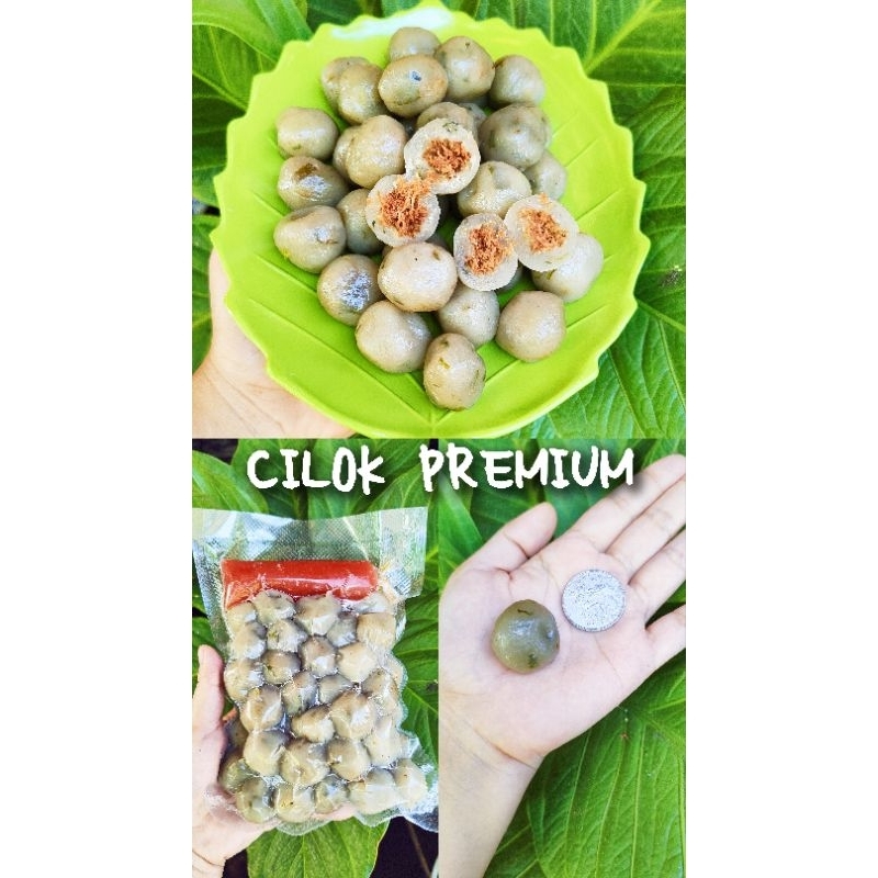 

Cilok Premium Abon Ayam isi 50 butir ukuran BESAR