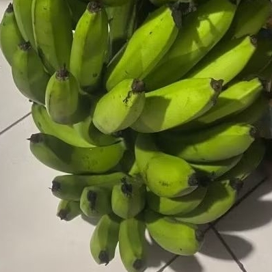 

Buah Pisang Mentah MD RS Yellow Pisang Bangkaulu