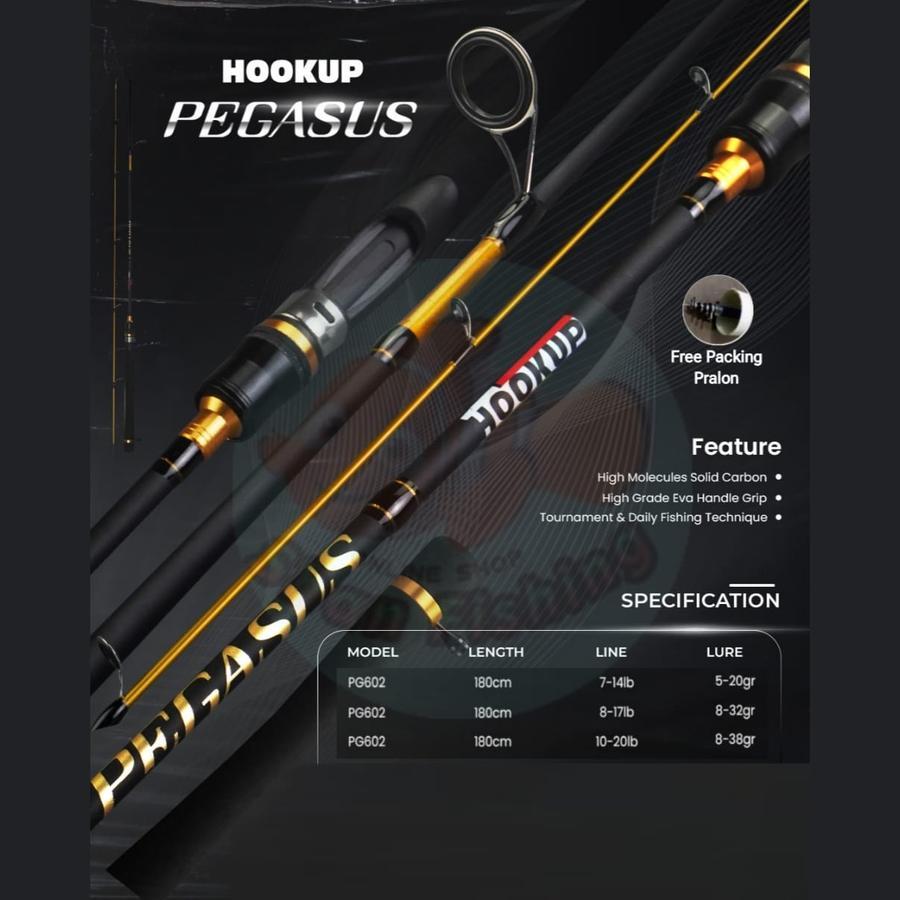Joran Spinning Hookup Pegasus