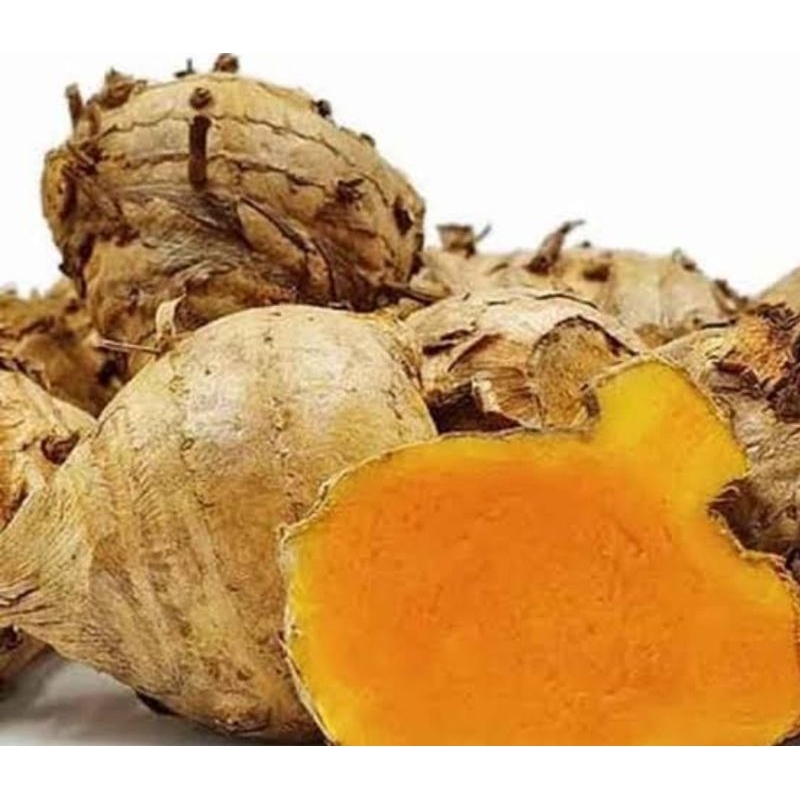 

Temulawak segar organik 1 kg pilihan