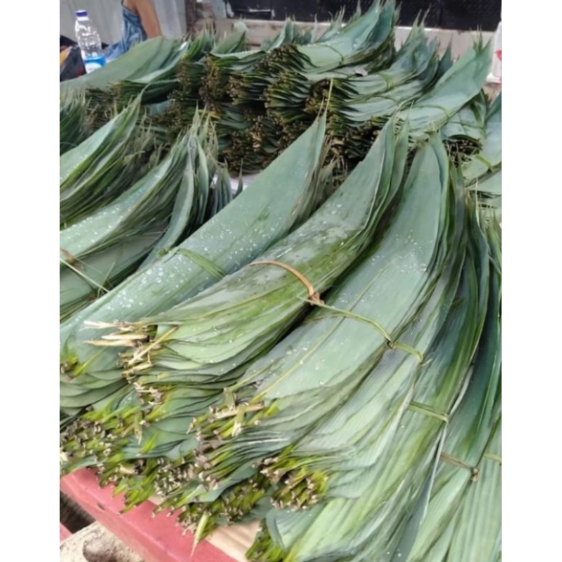 

daun bambu bacang100 lembar