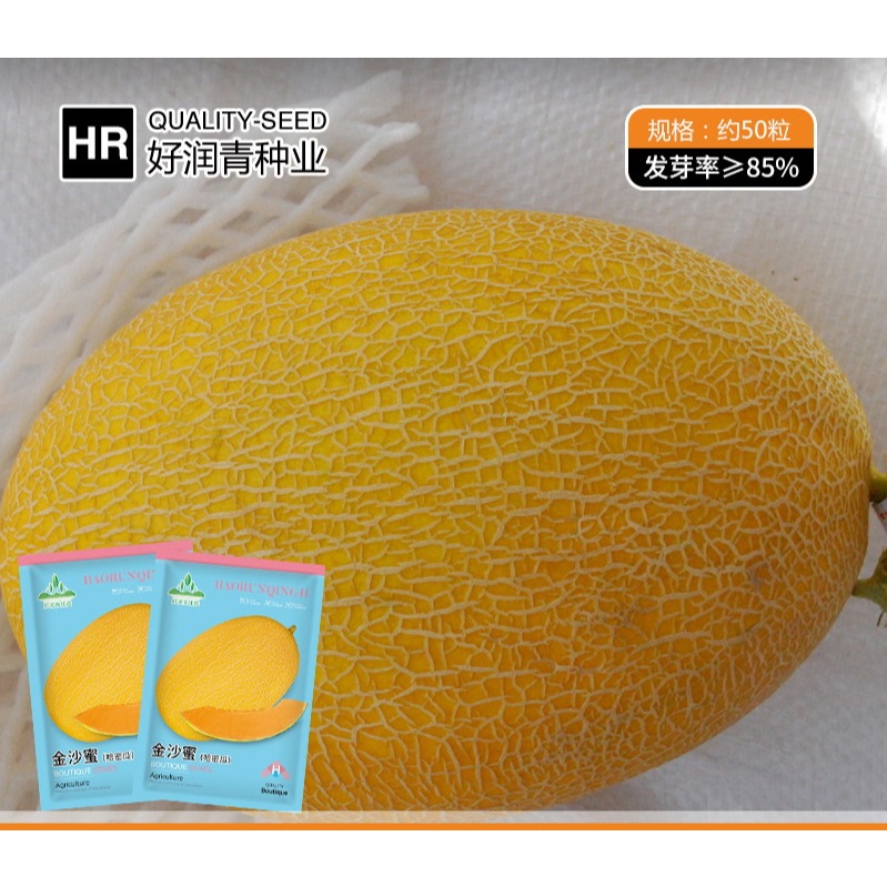 Benih Melon Import F1 Golden Yellow Hami 35 Biji