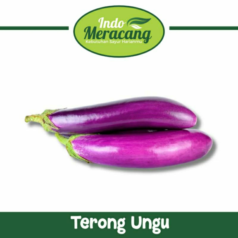 

TERONG UNGU 500 GRAM