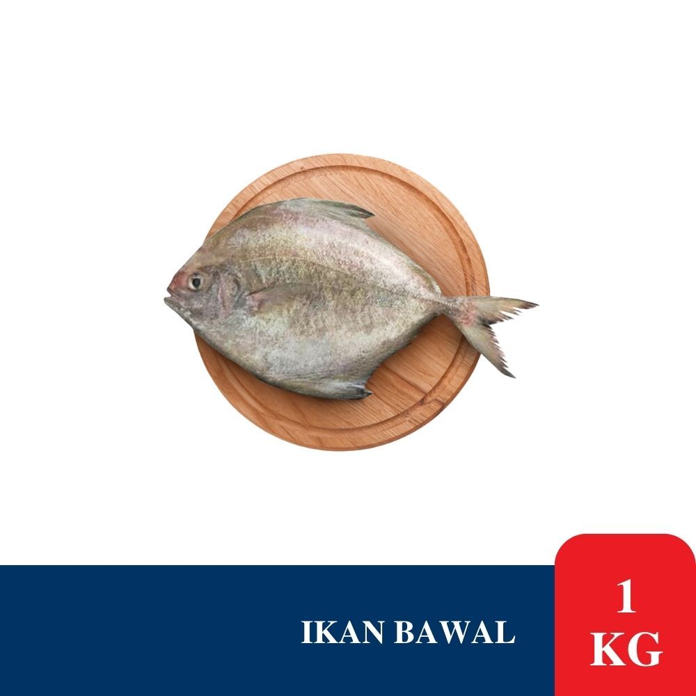 

Ikan Bawal 1 Kg Isi 3-4 Ekor - Ikan Segar Makassar
