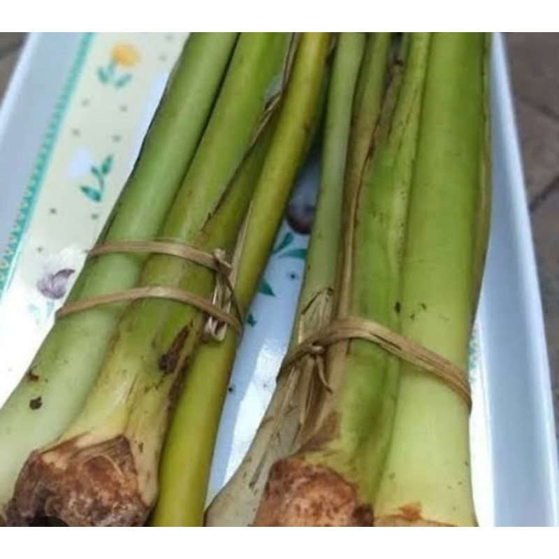 

Batang talas sayur isi 4 batang tidak gatal sangat cocok untuk di masak