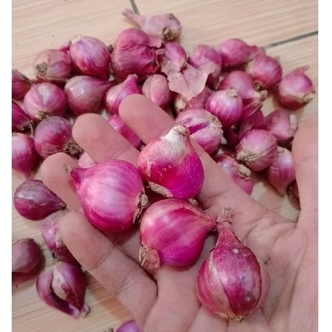 

bawang merah brebes ukuran super 1kg, rell kami kemas
