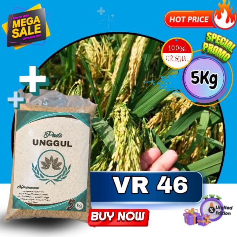 benih padi vr 46 benih padi berkualitas benih padi unggul dalam kemasan 5kg