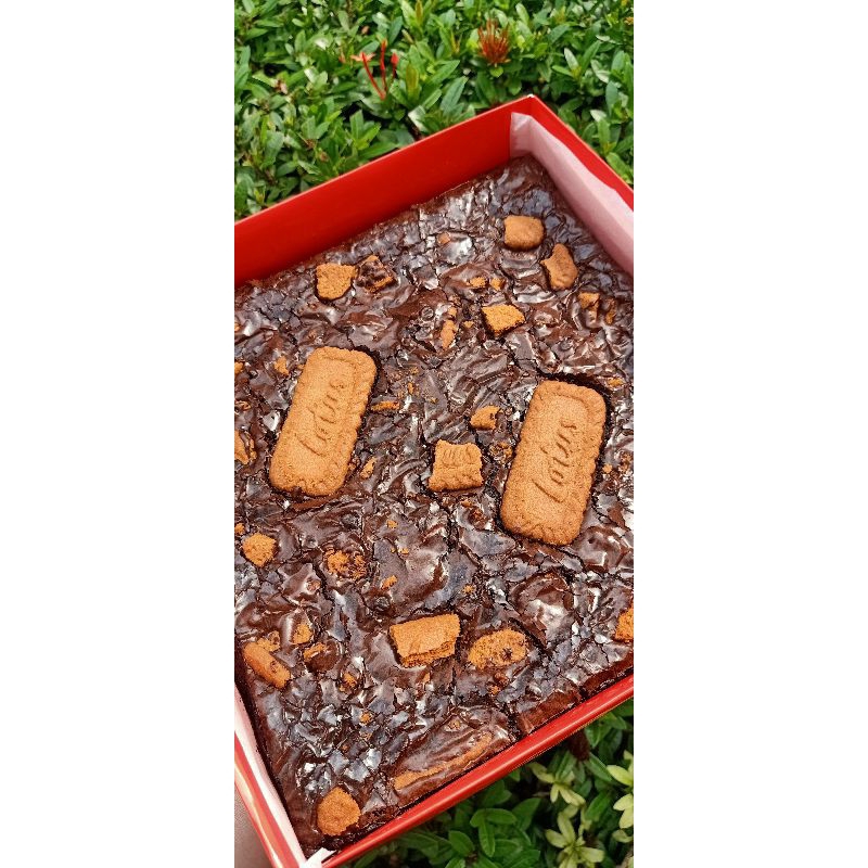 

Fudgy brownies with topping Biscoff lotus
