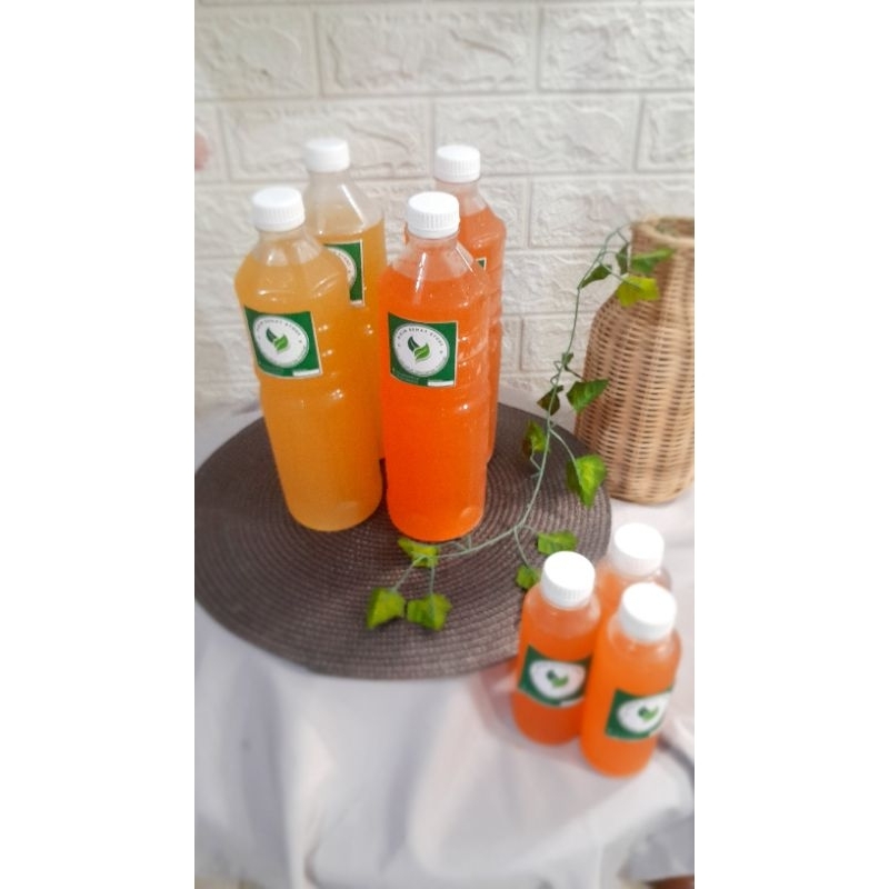 

Water Kefir Original and Water Kefir Fruit ukuran 1 liter