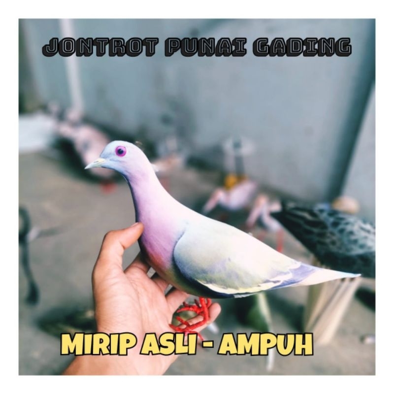 PATUNG JONTROT DECOY BURUNG PUNAI GADING - JONTROT BURUNG PUNAI ATAU WALIK HIJAU