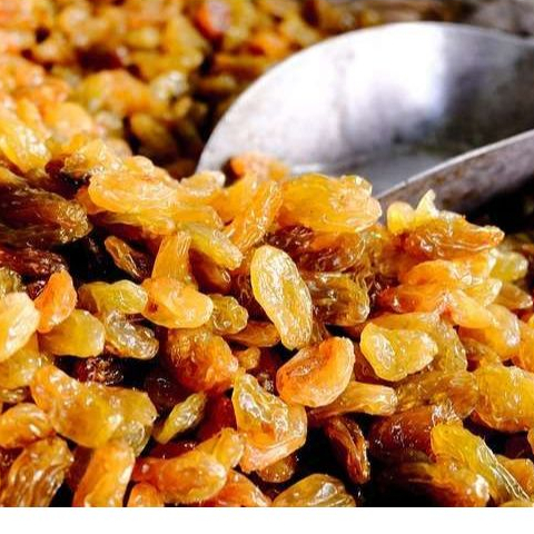 

kismis Arab 1kg Premium Al Madina Fesh kismis Asem Manis Kerikil Bersar Warna kuning 500gr Kismis Simin golden Raisin Asam Manis Mutiara Raisins Rasa Manis Enak Fresh Khas Arab MPASI Oleh Haji Umrah (Exp 2026)