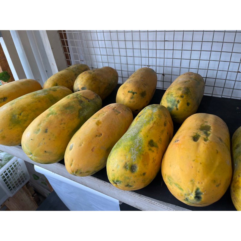 

Pepaya California | Buah | Fresh Buah Amanah