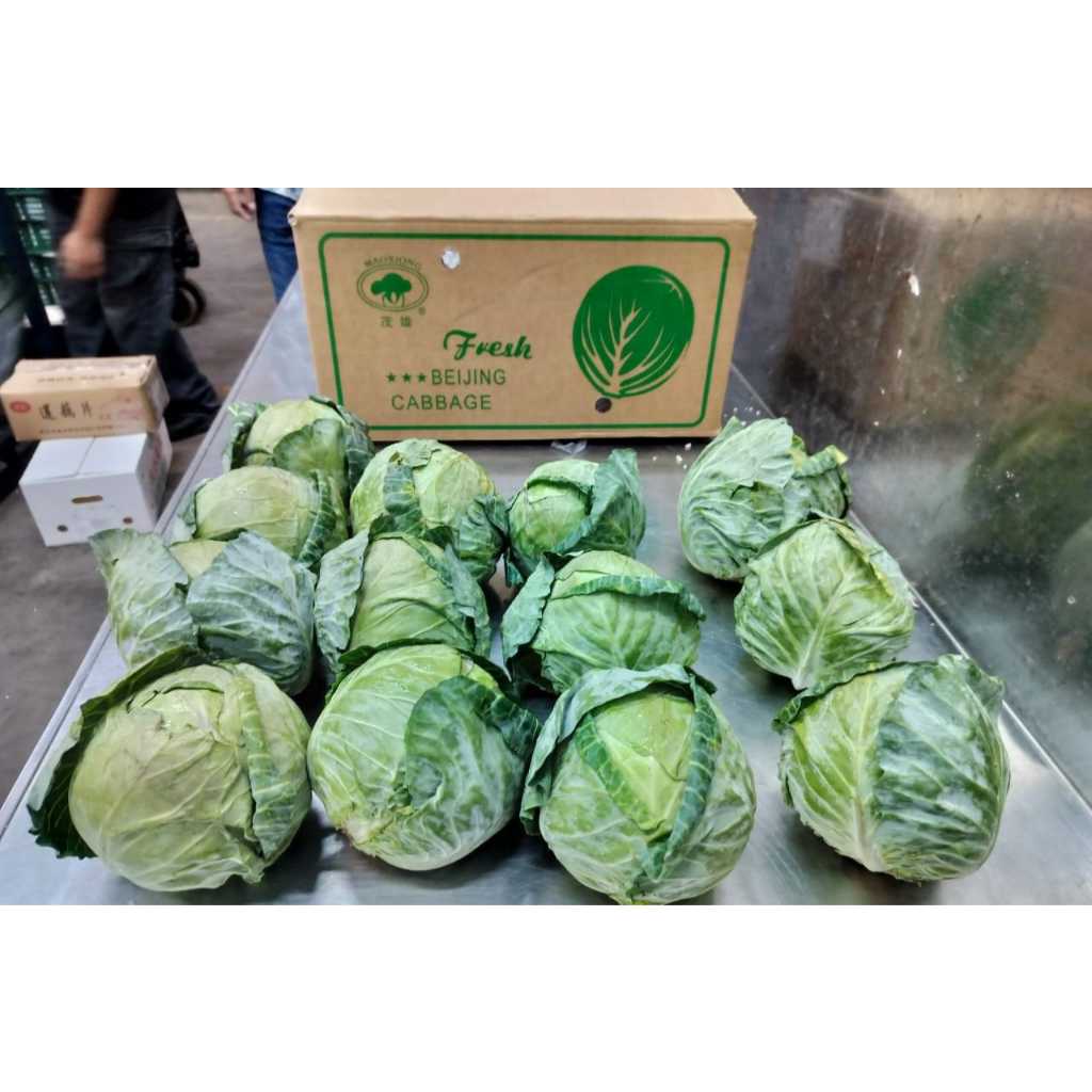 

Sayur Kol Hijau - Ungu 1 Dus (10 KG) Fresh Import