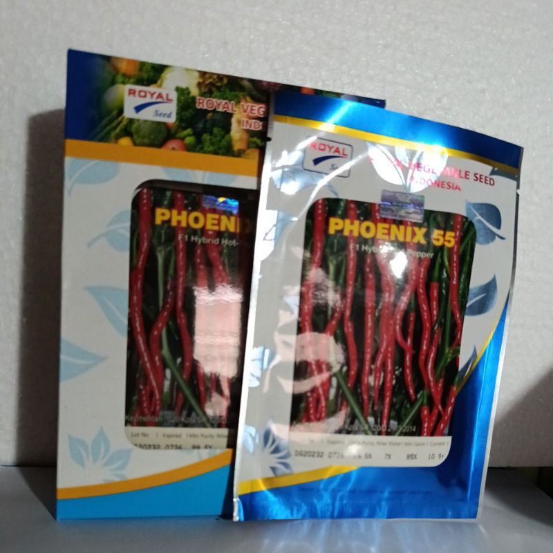 benih cabe PHOENIX 55 F1 HYBRID HOT PEPPER
