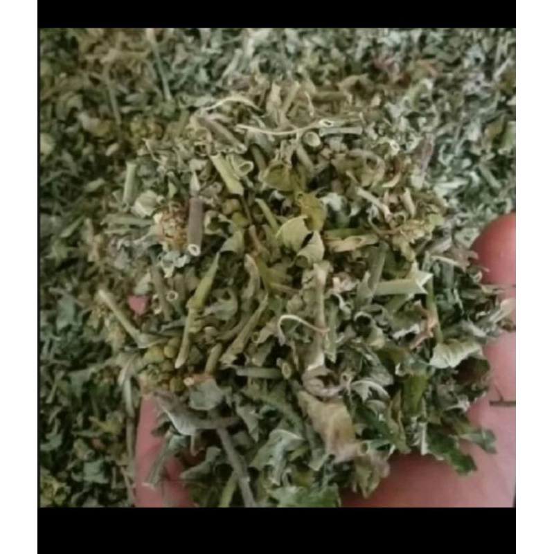 

daun sida guri kering/ sida gori kering + akar dan batang 250gr