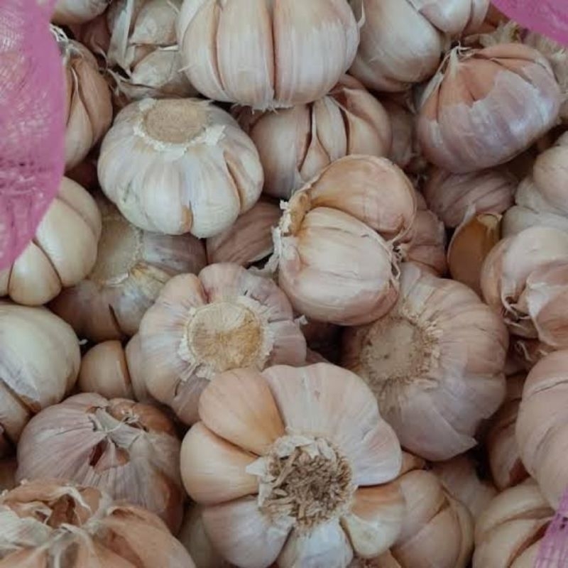 

Bawang Putih Sinco 1/4 kg / Baput Sico Bumbu Masak Memaxak 250g