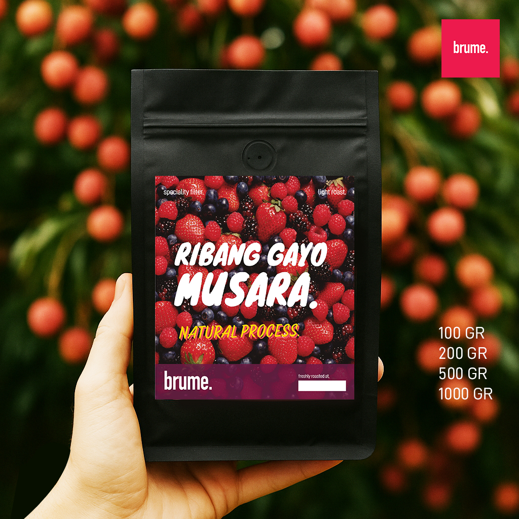 

Kopi Arabika Gayo Ribang Gayo Musara V60 Speciality Coffee