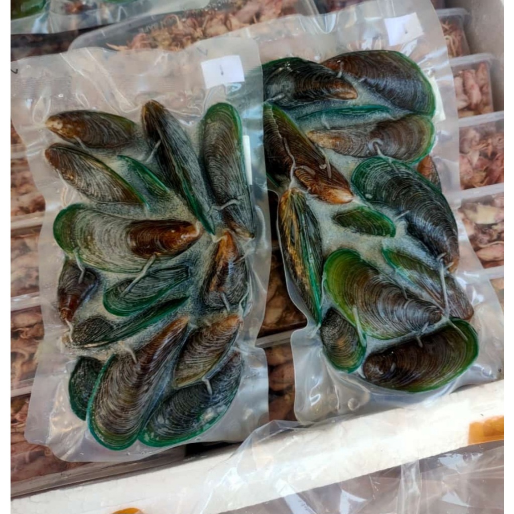 

Kerang ijo