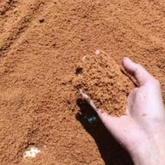 

Gula Semut Aren Asli 100% Murni - Gula Aren Bubuk Alami Tanpa Campuran