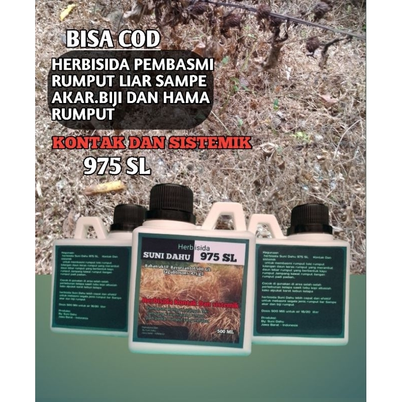 Herbisida SUNI DAHU 975 SL Kontak Dan Sistemik 500 ML Pembasmi Rumput Liar Sampe Akar,Biji hama rump
