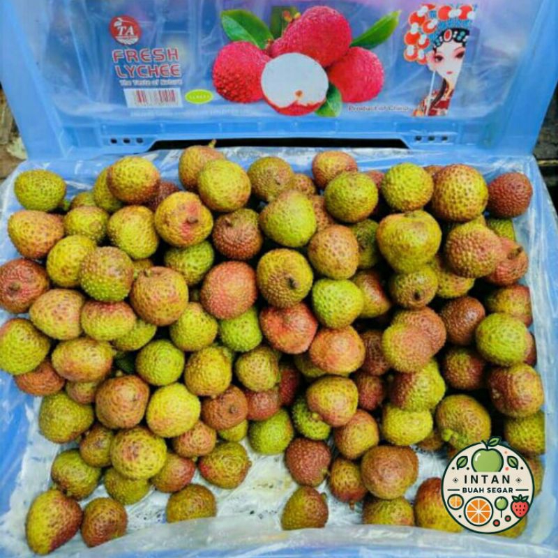 

AFGC 2928 Buah Leci Hijau 1 Kg Madu Fresh Manis Daging Tebal / Buah Leci Import Leci Madu 1 Kg