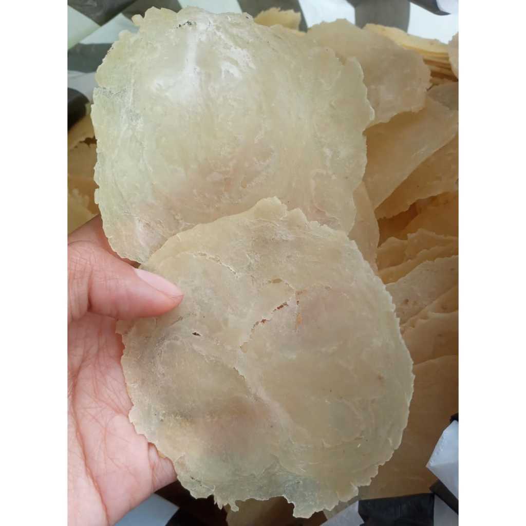 

[1000 GRAM] EMPING / EMPING MELINJO / EMPING BLINJO ASLI KEBUMEN RENYAH GURIH
