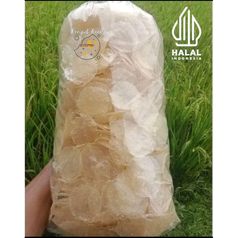 

keripik kaca mentah siap olah 1 kg harga grosir