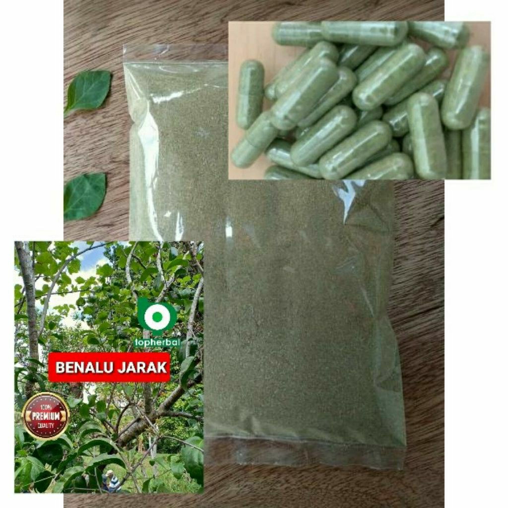 

Kapsul Benalu Jarak isi 100 Kapsul (Kering Hijau Organik Super Premium)