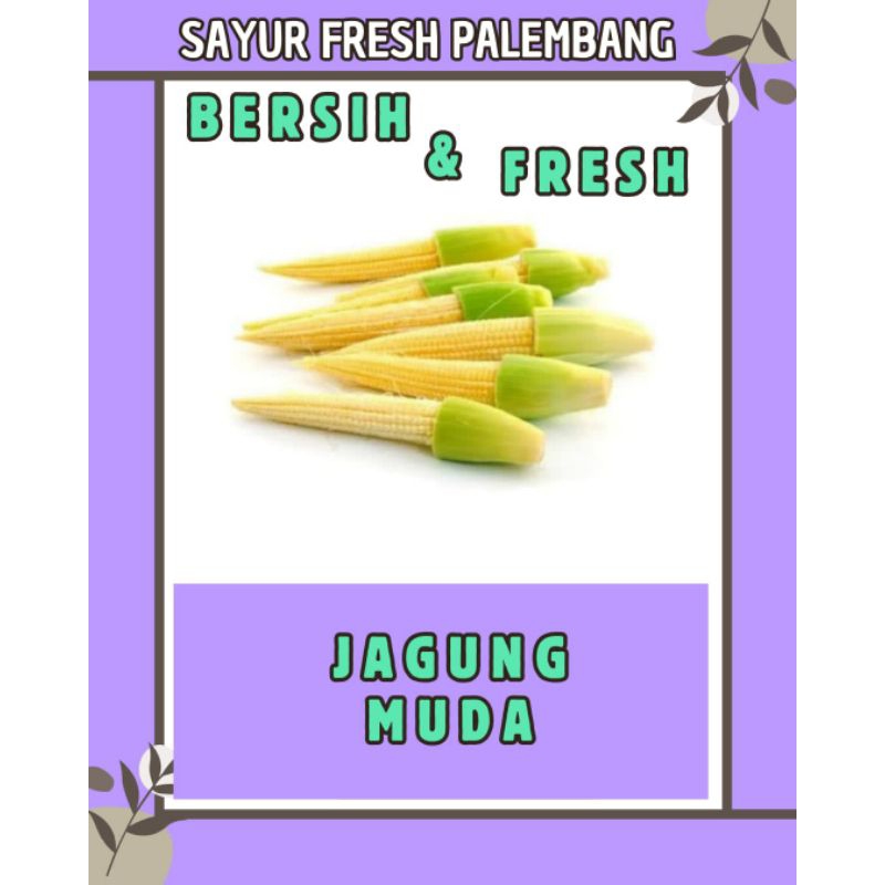 

JAGUNG MUDA FRESH & BERSIH - PALEMBANG