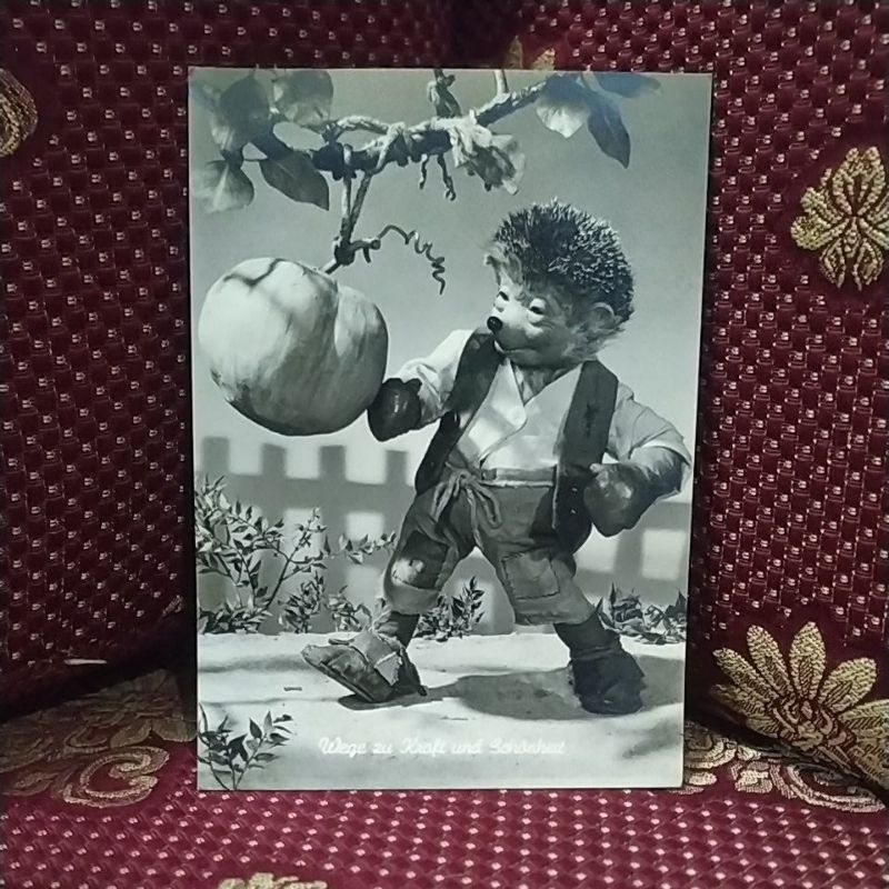 

postcard kartu pos jadul kartu ucapan animasi lucu