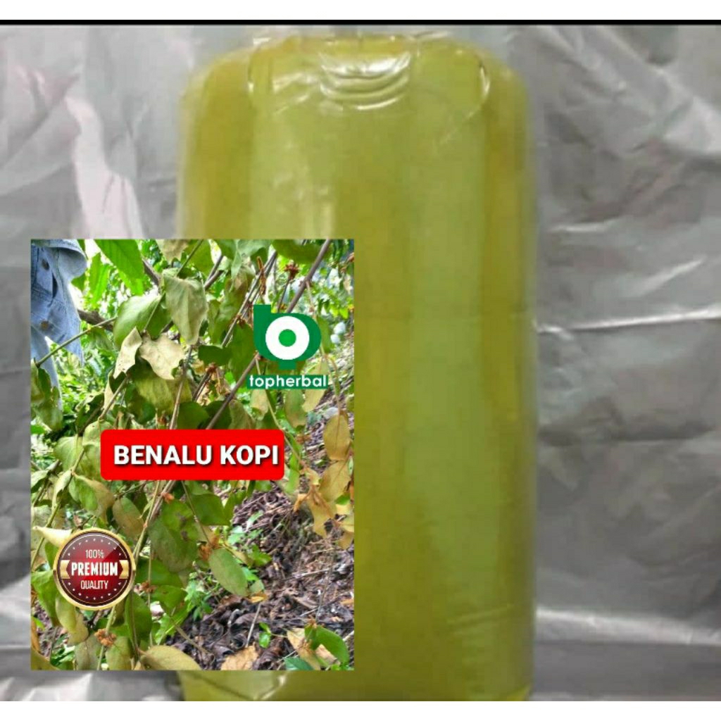 

Bubuk Benalu Kopi 1 Kg/1000 Gram Kering Hijau Organik Super Premium