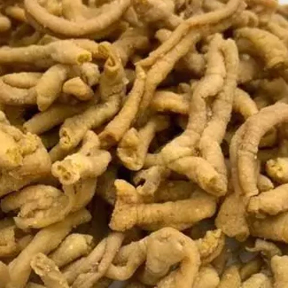 

Usus krispi Ayam / Krispi usus Ayam 1kg / Cemilan Gen Z / Usus Pedas dan Ori Daun Jeruk