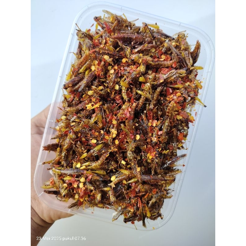 

BELALANG GORENG super pedas box 500.ML walang goreng super pedas
