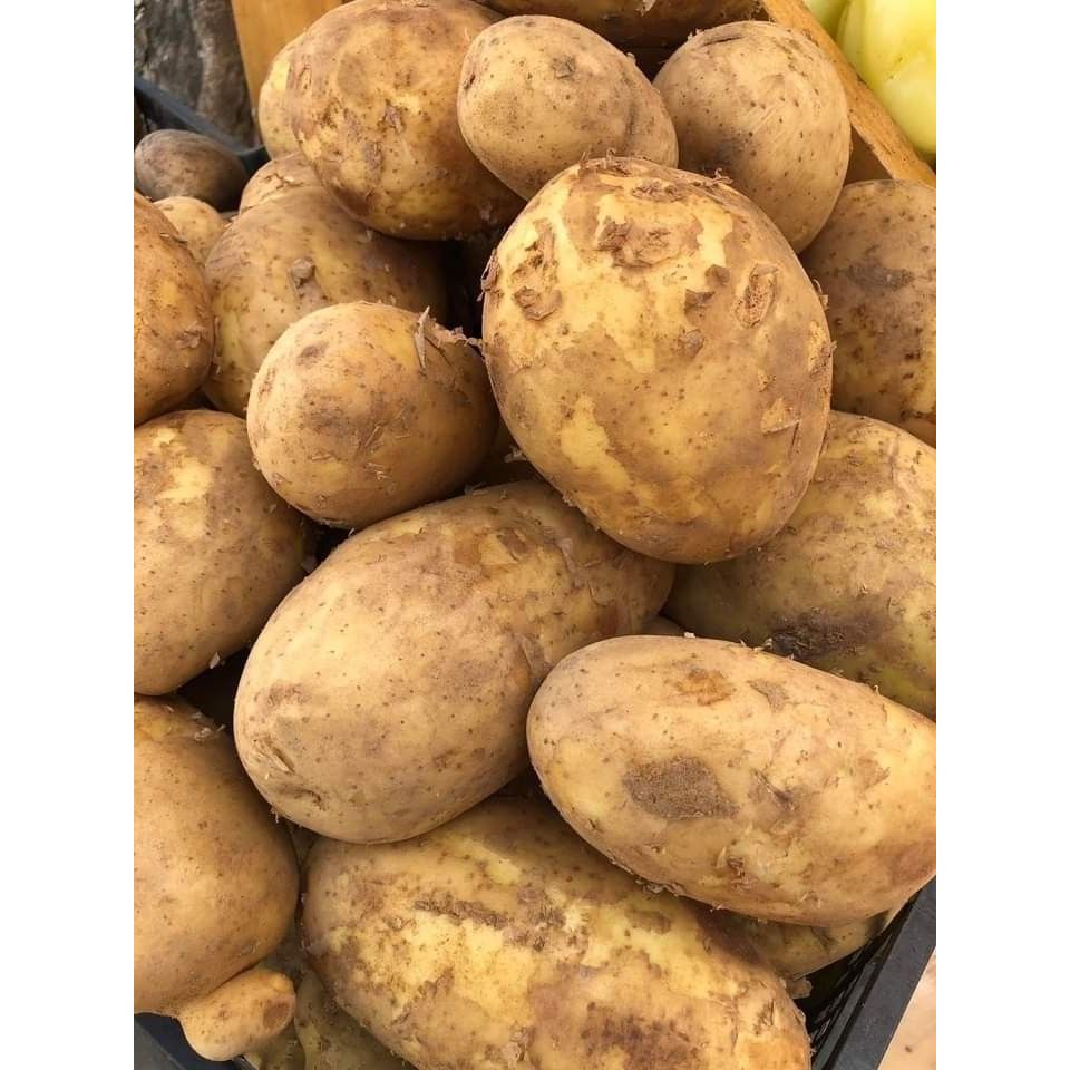 

Kentang dieng Super 1kg Termurah