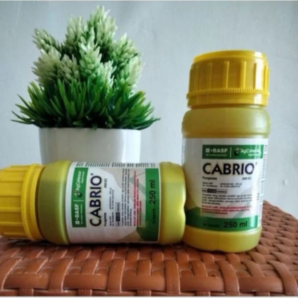 Cabrio 250EC - 250ML