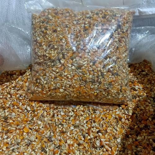 Jagung Campur (Jagung,Kacang Hijau / Beras Merah dan Gabah Beras Merah) Pakan Burung
