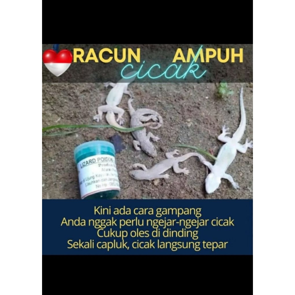 LIZARD POISON RACAK RACUN CICAK HERBAL PEMBASMI CICAK SANGAT AMPUH ( PROMO )