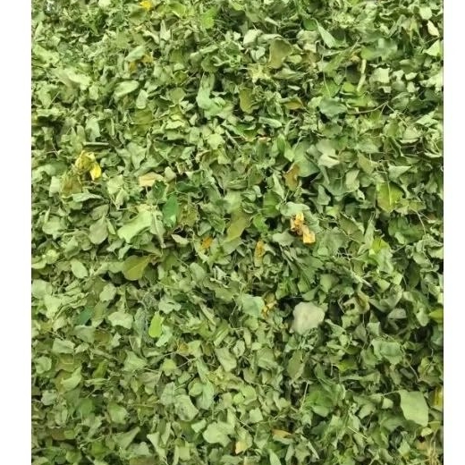

DAUN KELOR KERING ASLI MORINGA HERBAL ALAMI