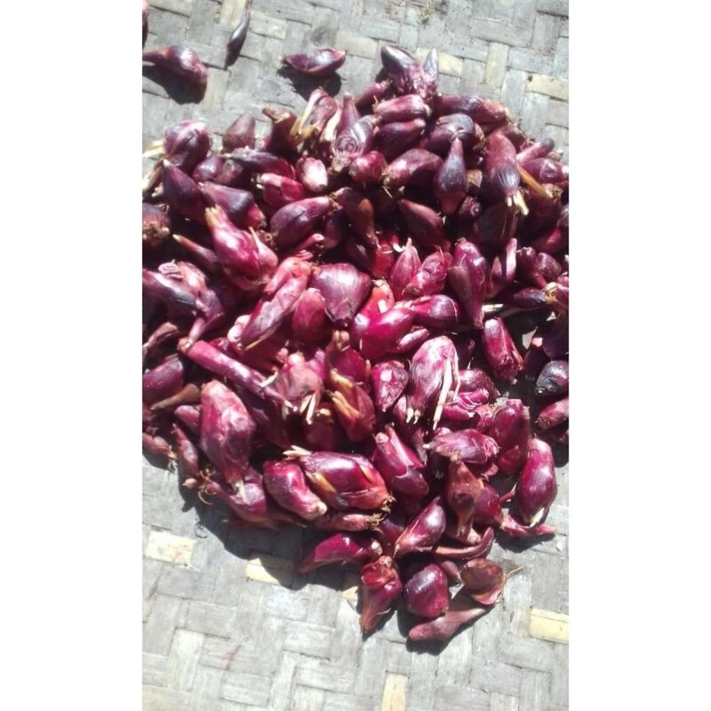 

bawang dayak bawang asli Kalimantan per 500gram