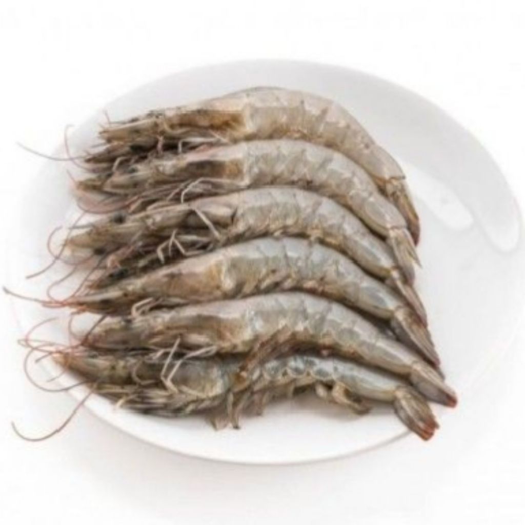 

[PS] Udang Besar Segar