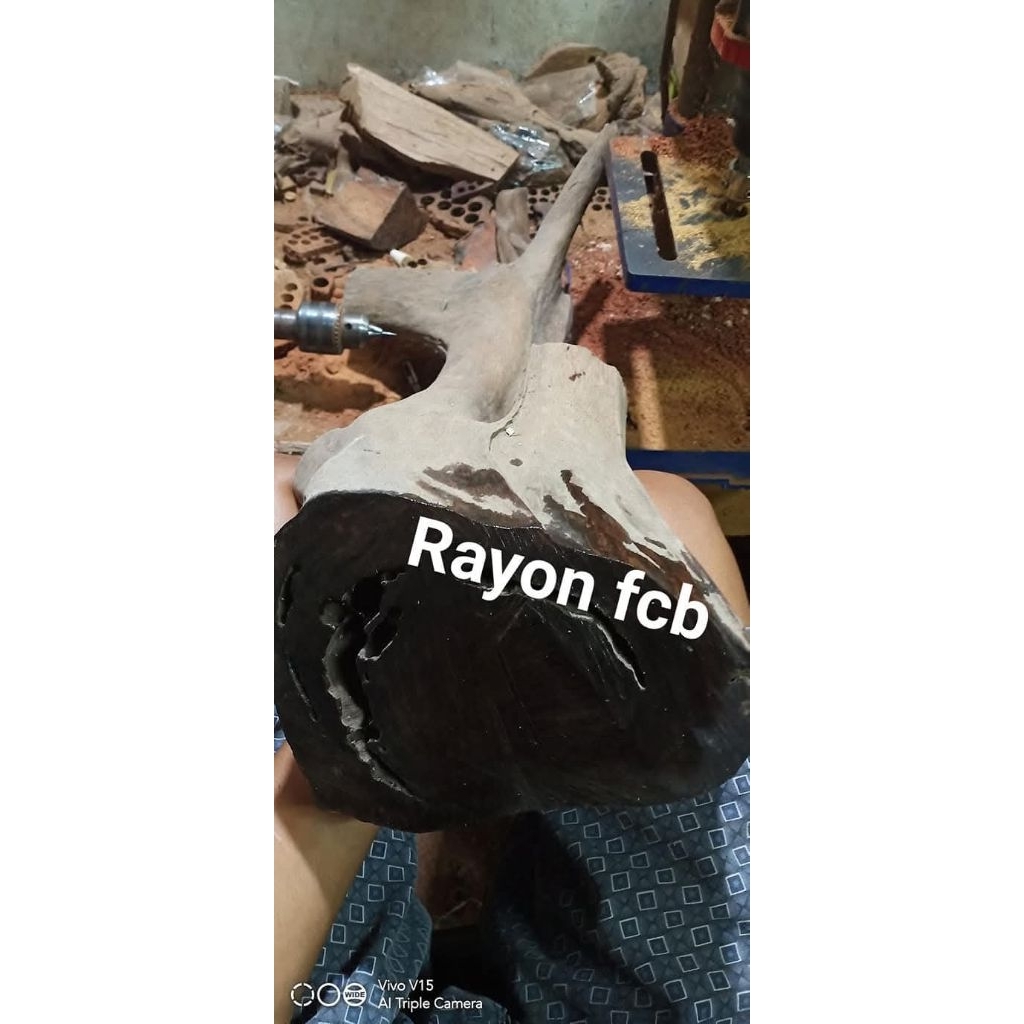 gelang galih akar nagasari