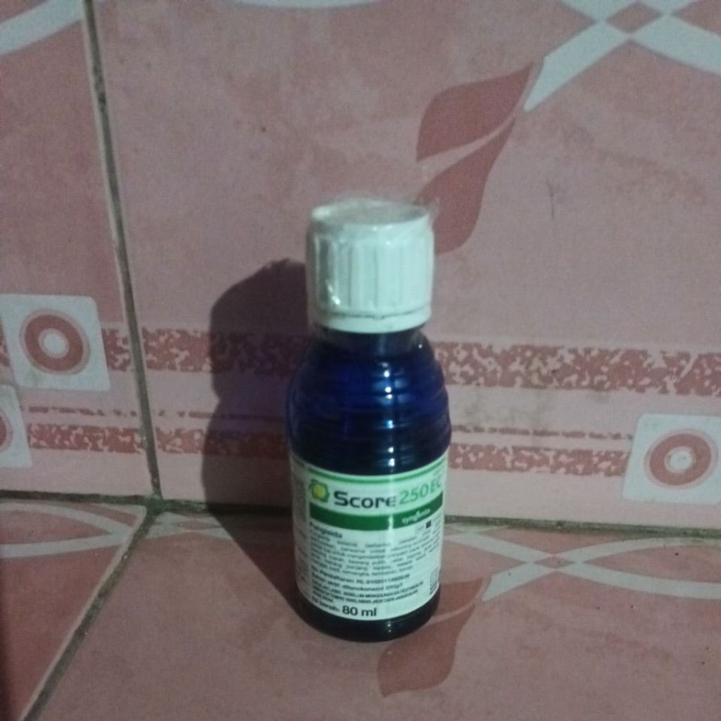 score 250 EC 80 ML original