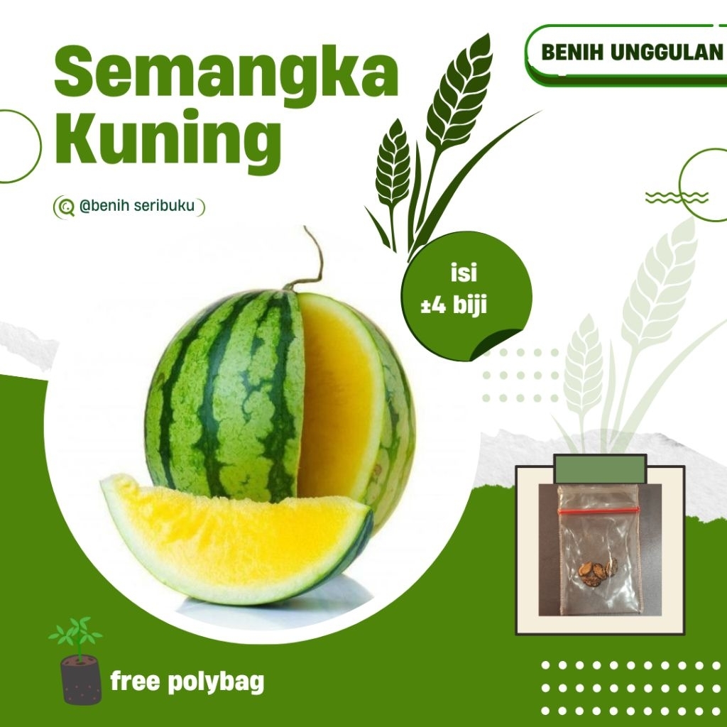 semangka kuning