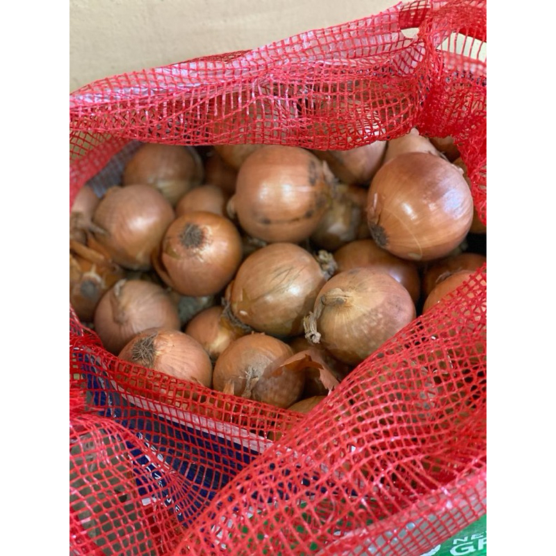 

Bawang bombay 1kg