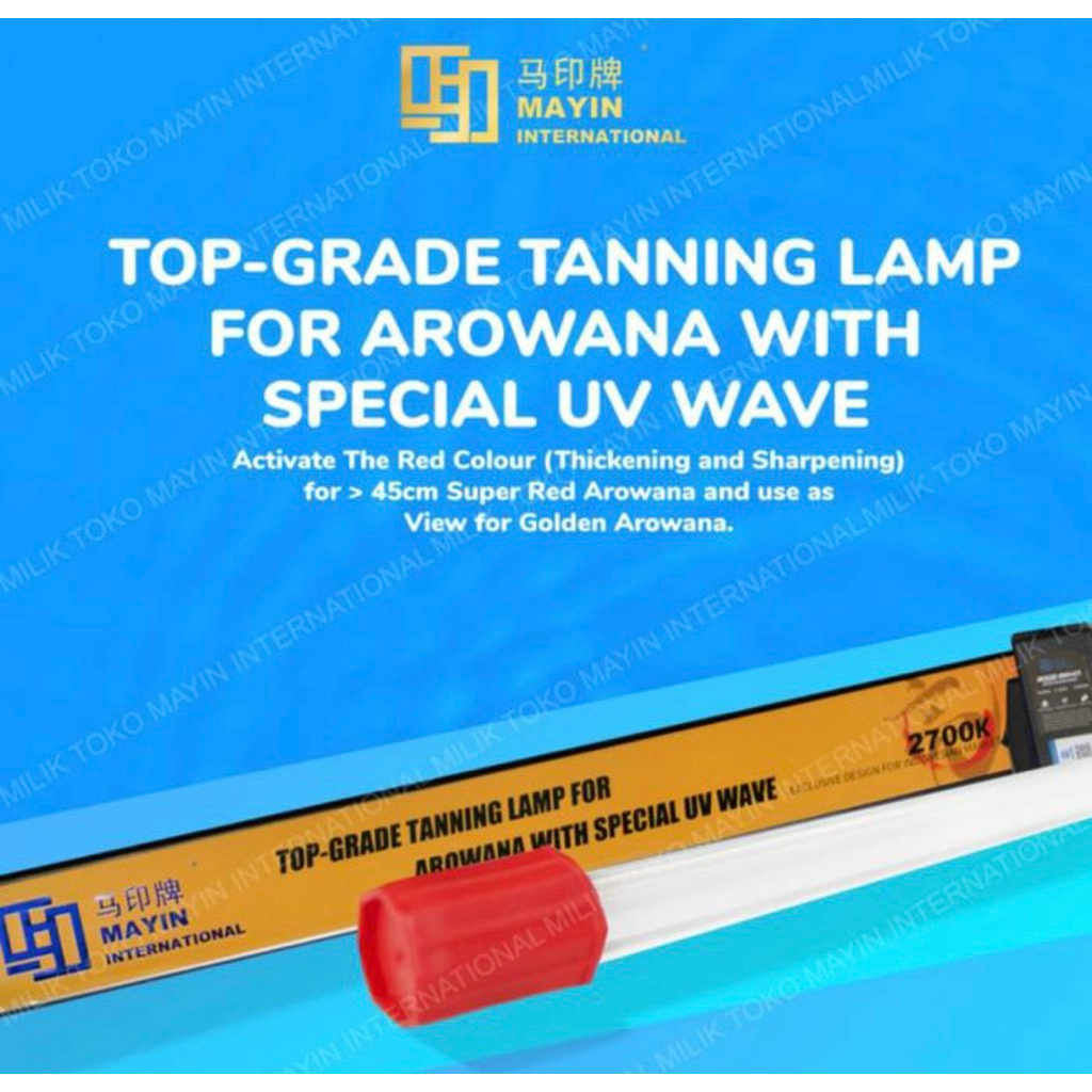 Lampu Tanning Submersible T5 MAYIN 2700k