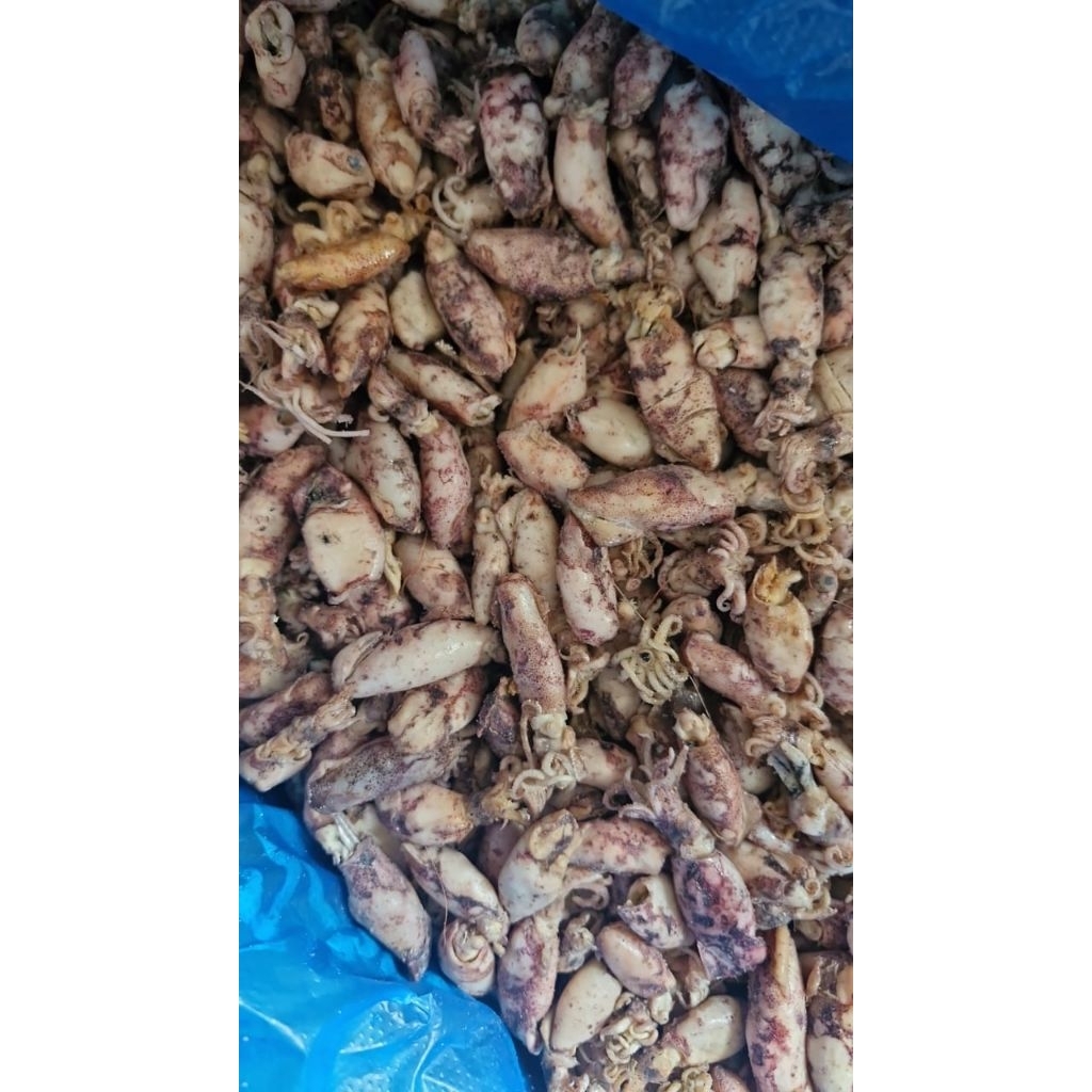 

cumi asin balita