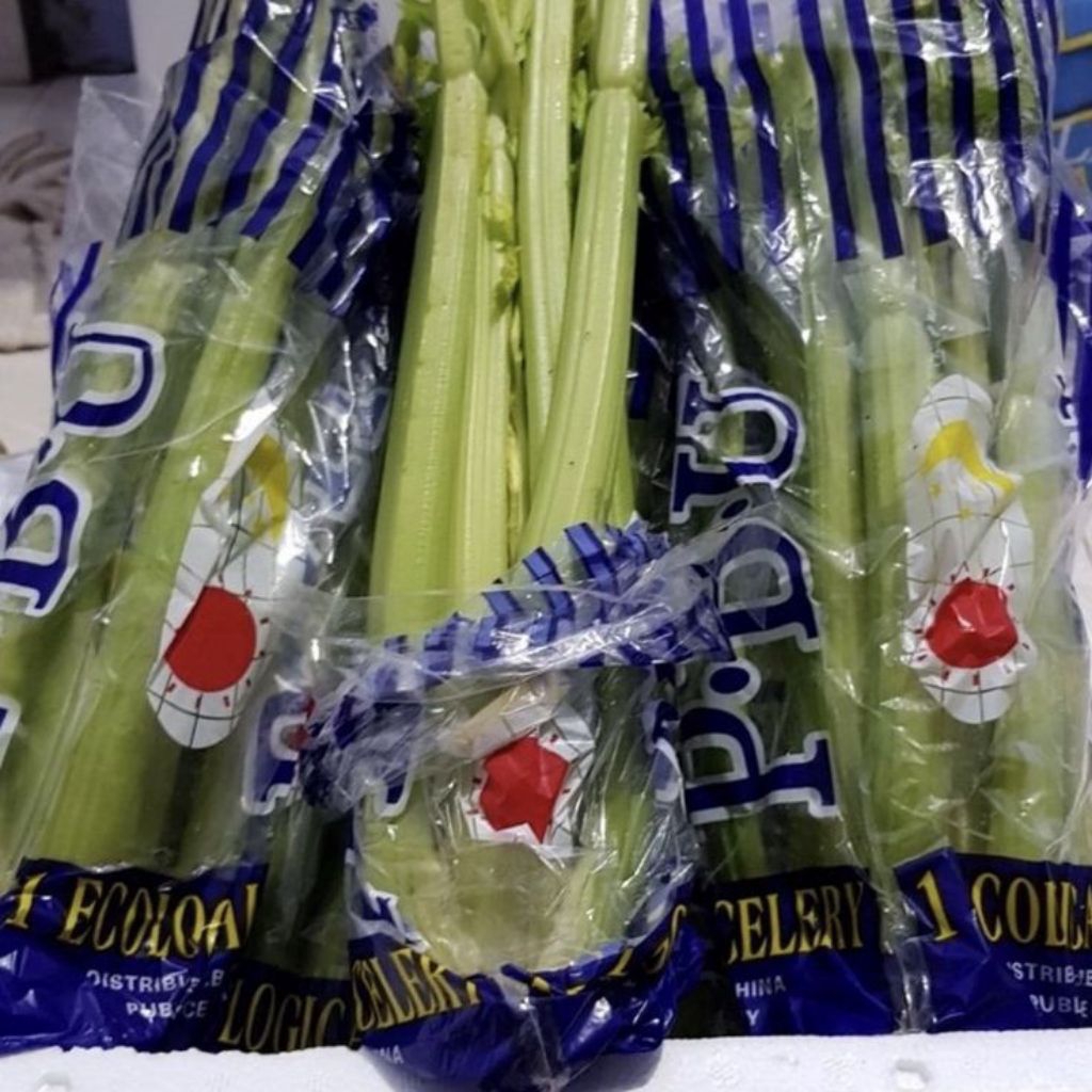 

seledri stick segar
