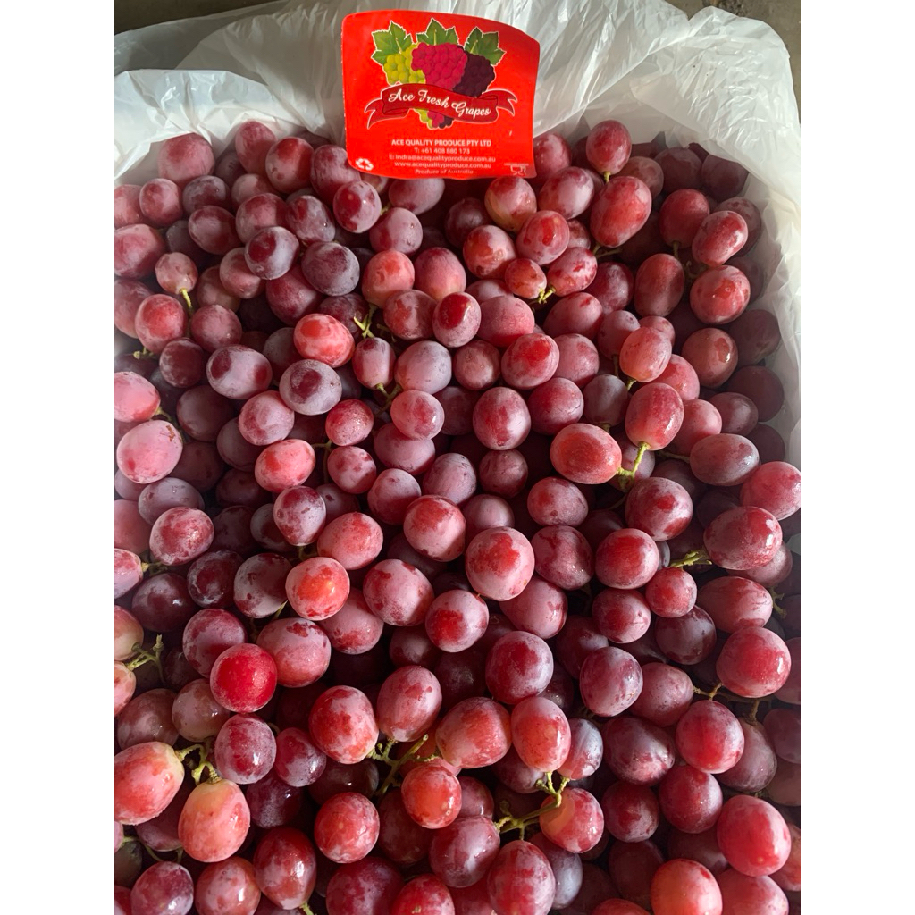 

Anggur Red Globe Ausie - 250gram