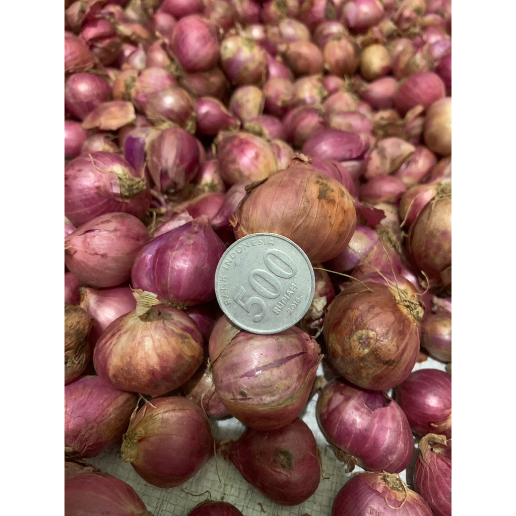 

BAWANG MERAH SUPER 1kg